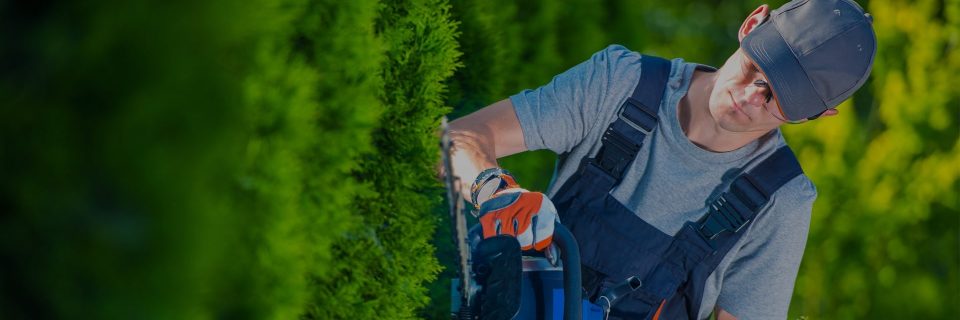 Flores Lawncare Services
